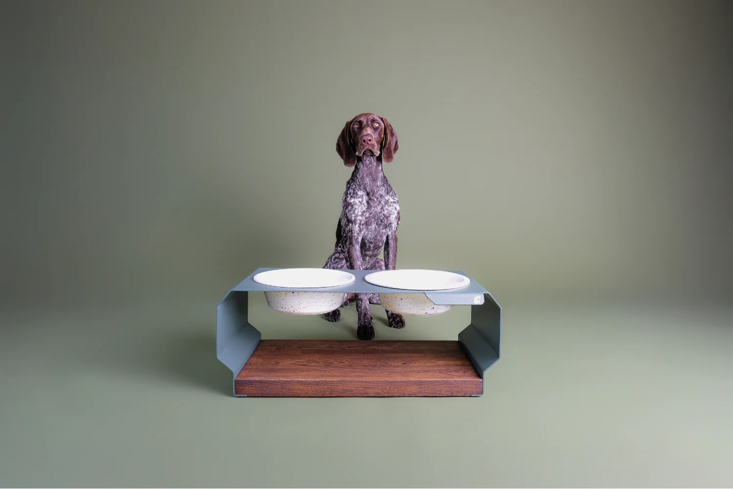 Grosser-Hund-Deutsch-Kurzhaar-hinter-der-TierischEdel-Futterstation-mit-zwei-Keramiknaepfen-im-modernen-Sprenkel-Design