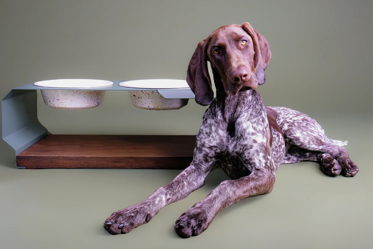 Hund-Deutsch-Kurzhaar-liegt-entspannt-vor-einer-TierischEdel-Futterstation-mit-zwei-Keramiknaepfen-handgefertigt-in-Portugal