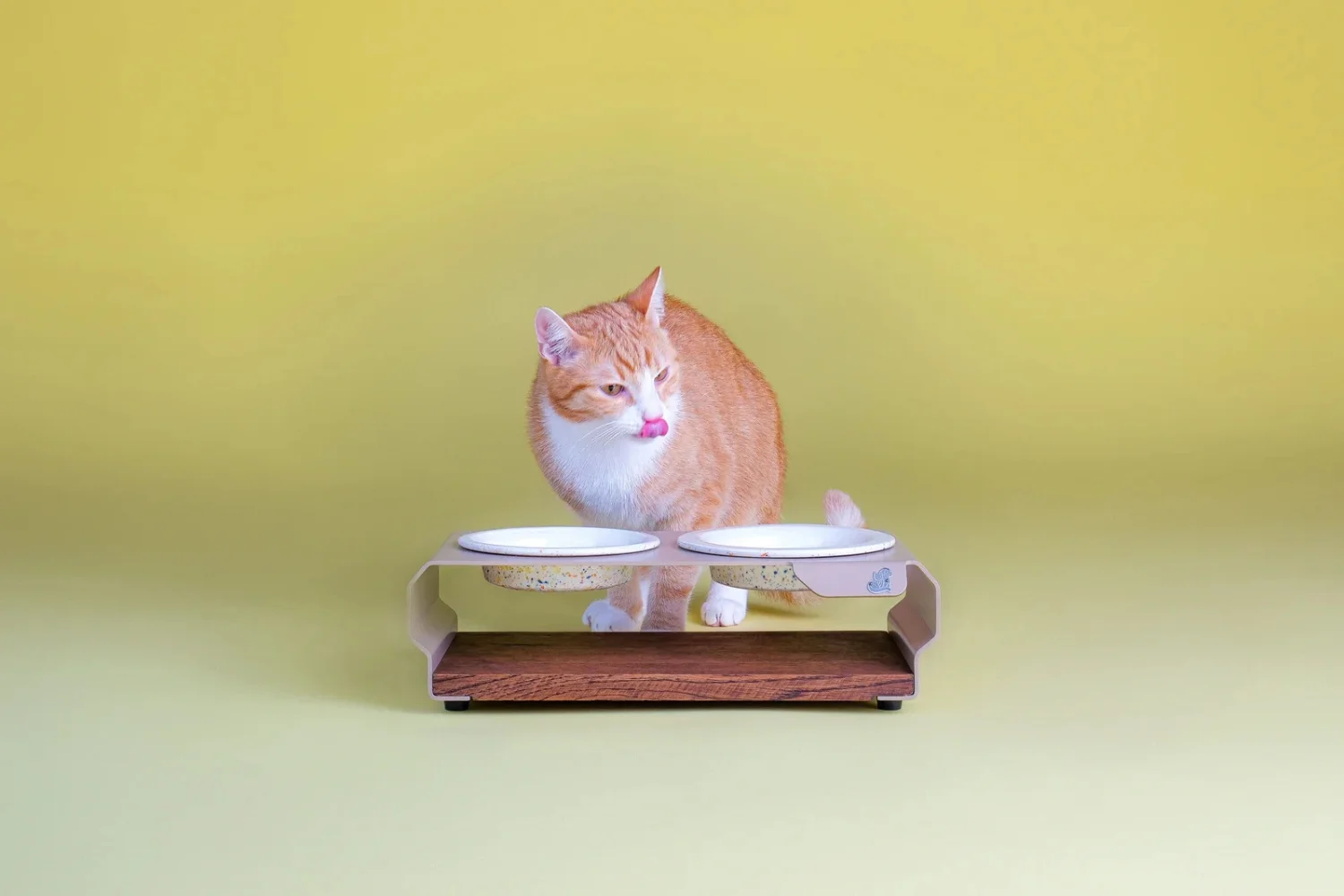 Katze-an-Futterstation-mit-zwei-Keramiknaepfen-im-Sprenkelmuster-handgefertigt-von-TierischEdel-in-Portugal-modernes-Design-fuer-Katzen-und-kleine-Hunde