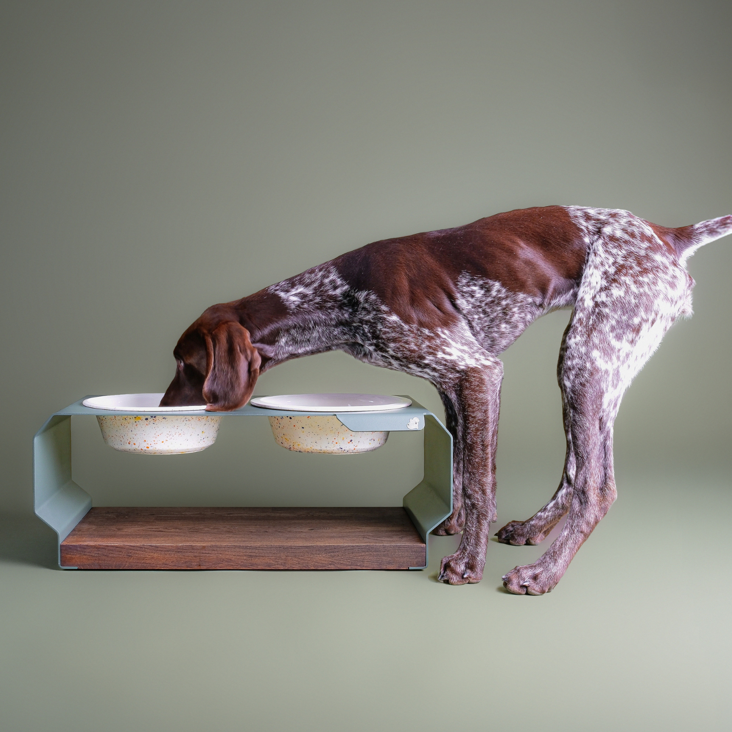 futterstation-tierischedel-olivgruen-groesse-l-mit-hund-rasse-deutschkurzhaar