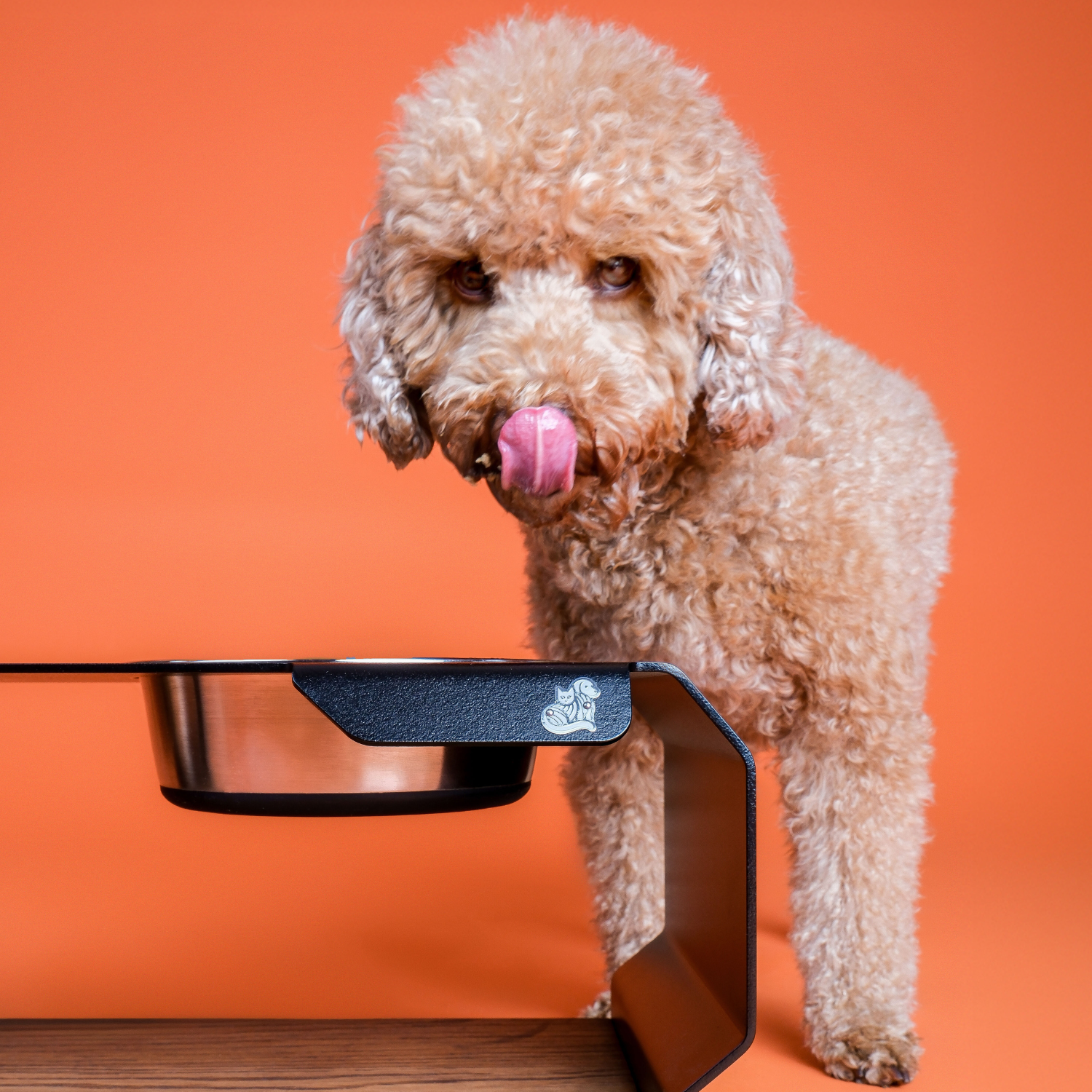 Futterstation Edelstahl – Bild 2